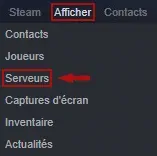 63e4f885abf782c55e22259a_Steam-acces-favoris.webp