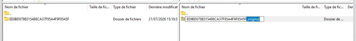 Renamed server folder.webp