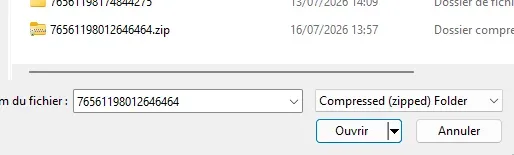 Import ZIP.webp
