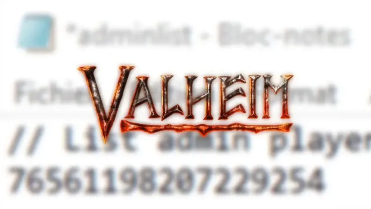 Changer le mot de passe de son serveur Valheim